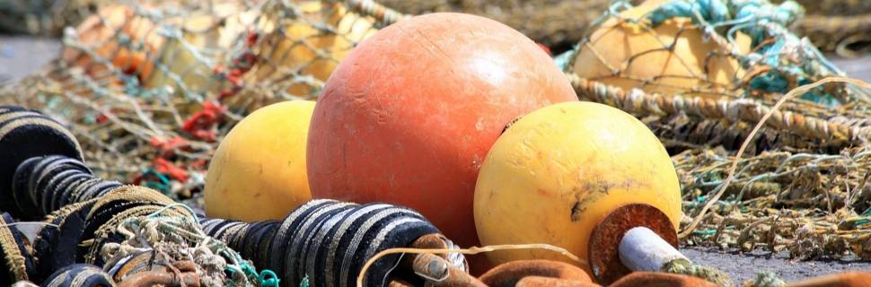 Retorno dos Comitês Permanentes de Gestão: promessa ou realidade?