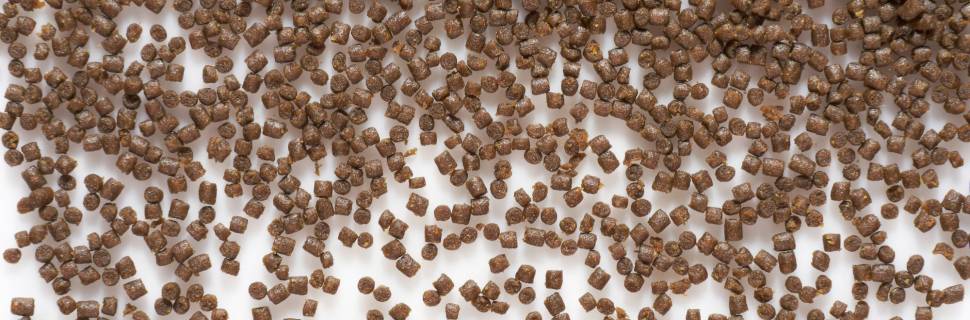 Produção global de ração para aquicultura cresceu 2,7% em 2022