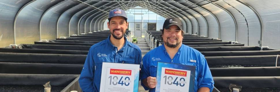 >Equipe de gestão adquire Spring Genetics Equipe de gestão adquire Spring Genetics