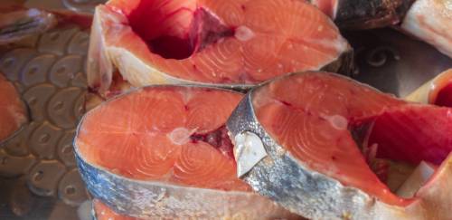 Entidades alertam que nova regra de importação pode encarecer pescado