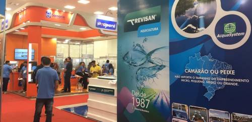 Fenacam '19 recebe 6 mil participantes em sua maior edição 