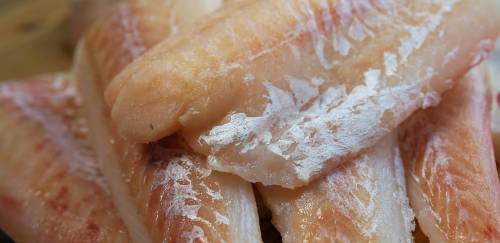 Material da Embrapa auxilia no controle de qualidade do filé de peixe