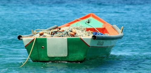 Fraudes no sistema do seguro-defeso custam ao menos R$ 133 milhões