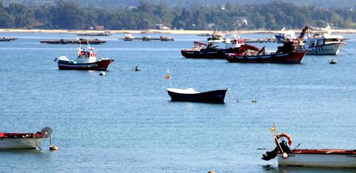 Mapa prorroga autorizações de pesca por 240 dias