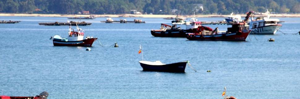 Mapa prorroga autorizações de pesca por 240 dias