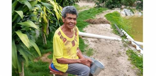 Longevidade produtiva 