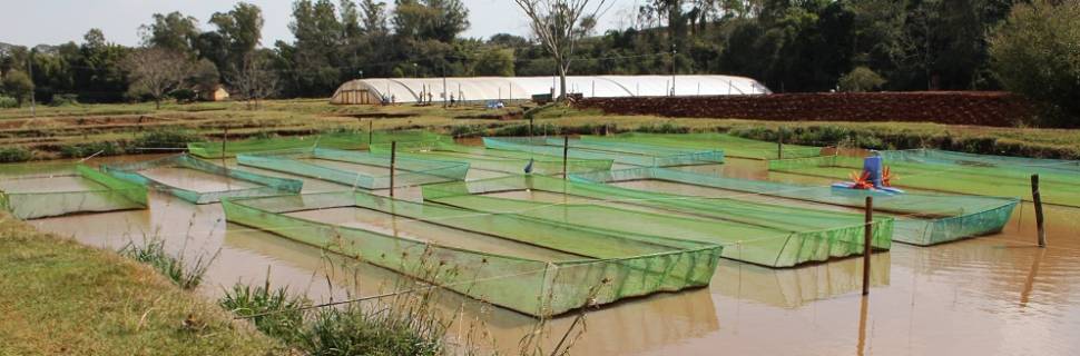 >Mapa fará evento para explicar subvenção de 40% do seguro aquícola Mapa fará evento para explicar subvenção de 40% do seguro aquícola