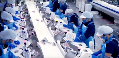 Marel apresenta suas mais recentes inovações para a indústria