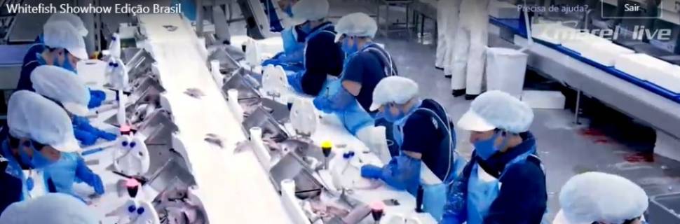 >Marel apresenta suas mais recentes inovações para a indústria Marel apresenta suas mais recentes inovações para a indústria