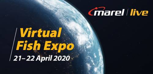 Marel live: Exposição virtual de pescado
