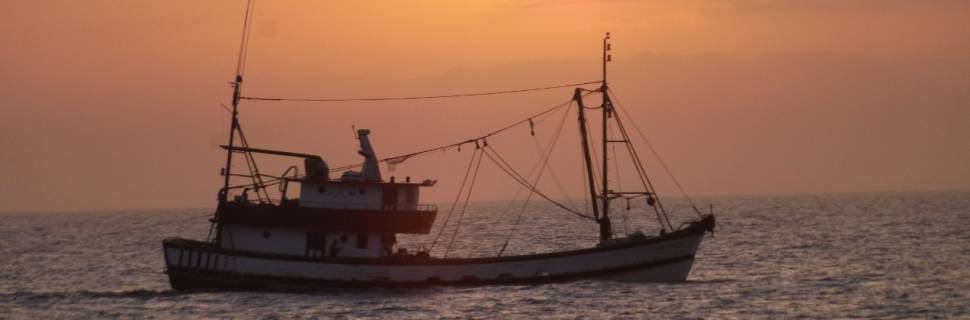 Mudanças climáticas: como a pesca está sendo afetada 