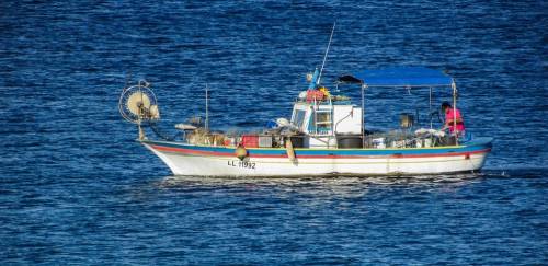 Mudanças climáticas prejudicam estoques pesqueiros, diz cientista