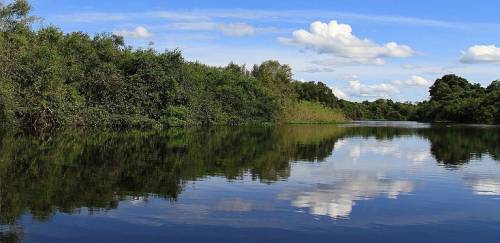No Pantanal, pesquisadores temem impactos posteriores às queimadas 