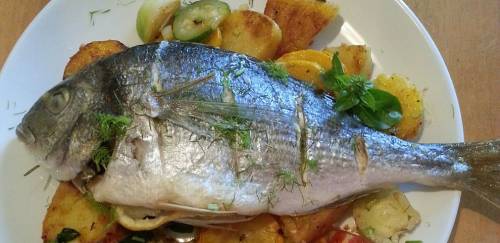 O óleo nas praias do Nordeste e seus impactos nos restaurantes