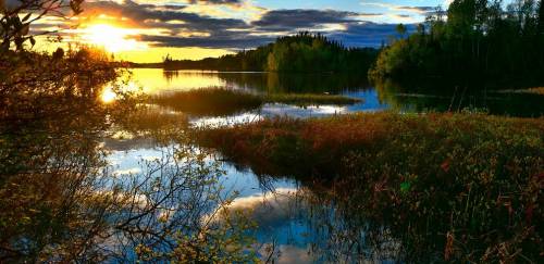 Oceana alerta fragilidade da legislação ambiental brasileira