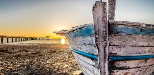 Oceana lança o estudo “Auditoria da Pesca Brasil 2020”