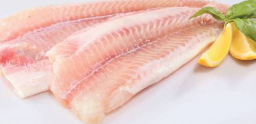 Panga brasileiro x panga importado