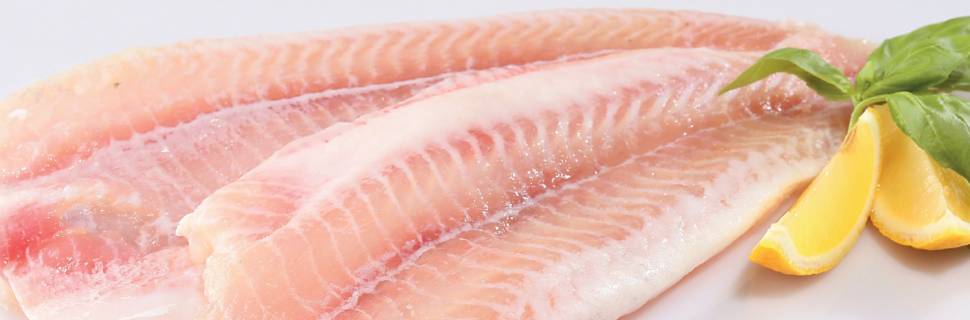 Panga brasileiro x panga importado