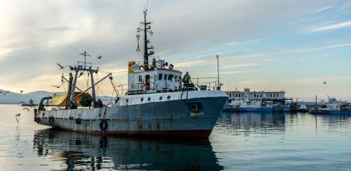 Pesca BR surge para defender interesses de armadores e empresários 