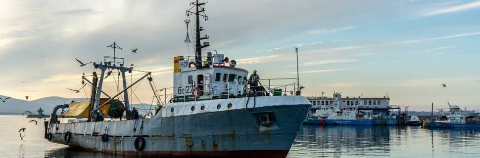 Pesca BR surge para defender interesses de armadores e empresários 