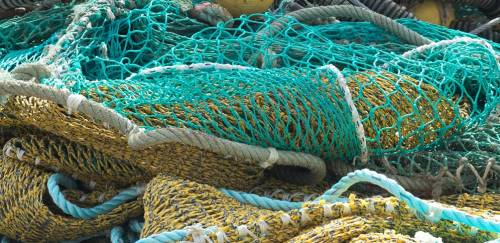 Pesca paraense patina entre o caótico e o incerto