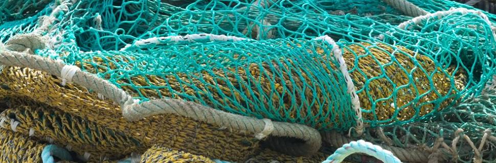 Pesca paraense patina entre o caótico e o incerto