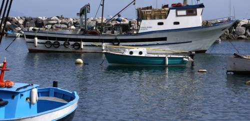 Pescadores da CNPA criticam privatizações de terminais pesqueiros