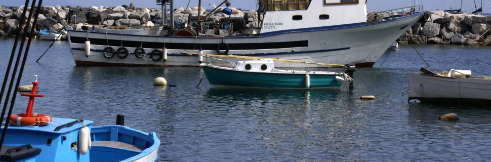 Pescadores da CNPA criticam privatizações de terminais pesqueiros