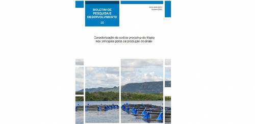 Pesquisa da Embrapa caracteriza principais polos produtivos de tilápia