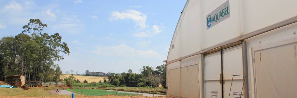 Piscicultura Aquabel passará a se chamar AquaGenetics do Brasil