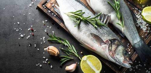 Políticas públicas para o fomento da aquicultura brasileira