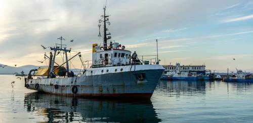 Portaria define novas normas higiênico-sanitárias para embarcações