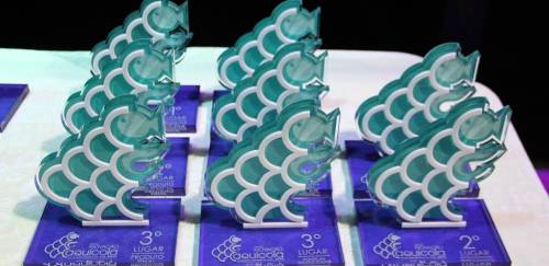 Prêmio Inovação Aquícola sofre alterações e traz novas oportunidades