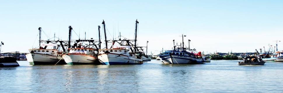 PREPS: um instrumento de gestão pesqueira? 