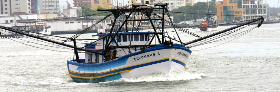 Proposta para alteração da data do Defeso do Camarão