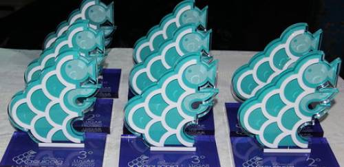 Quem ganhou o Prêmio Inovação Aquícola 2019?