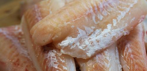 Rali dos filés Rali dos filés