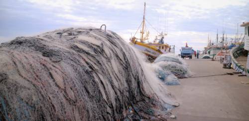 Revisão das normativas pesqueiras:processo bem-vindo, mas ainda frágil Revisão das normativas pesqueiras:processo bem-vindo, mas ainda frágil