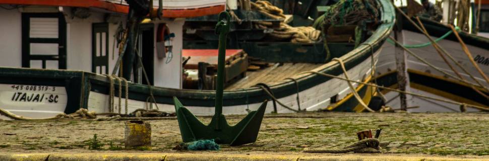 Safra da tainha segue proibida e governo entra com recurso 