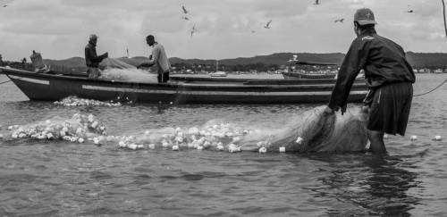 Safra tainha 2020 começa na sexta-feira (1/5)