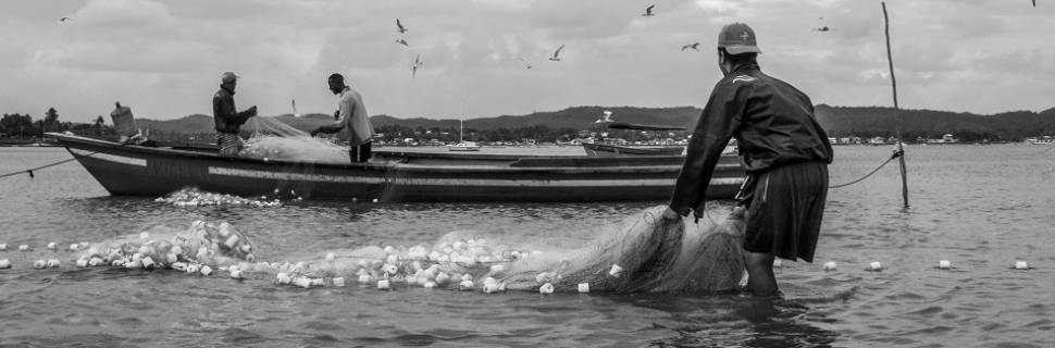 Safra tainha 2020 começa na sexta-feira (1/5)