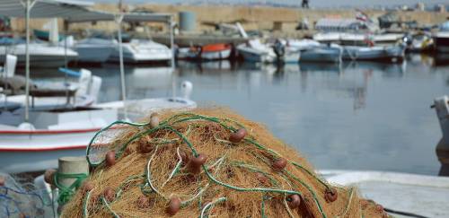 Aquicultura e pesca seguem com acesso ao coronavaucher, diz SAP