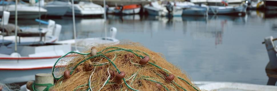 Aquicultura e pesca seguem com acesso ao coronavaucher, diz SAP
