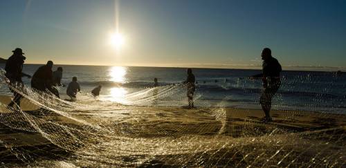 Transparência fortalece a pesca