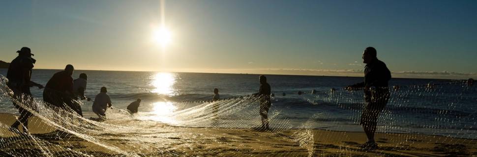 Transparência fortalece a pesca