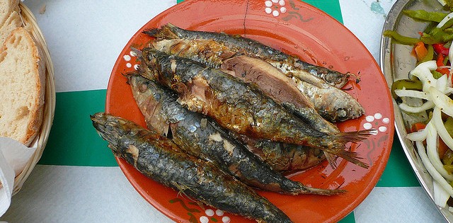 >Sardinha entra em período de defeso e preço deve subir Sardinha entra em período de defeso e preço deve subir