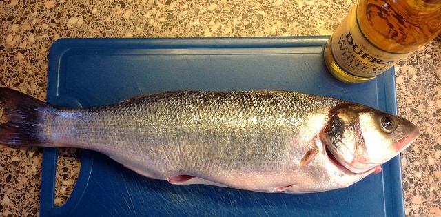 Pescada branca conquista brasileiro com pouca gordura e muita proteína