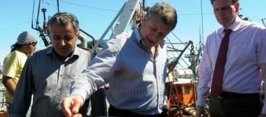 Entenda a polêmica sobre os camarões argentinos Entenda a polêmica sobre os camarões argentinos