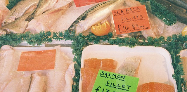 >Salmão norueguês vê alta no preço e na demanda Salmão norueguês vê alta no preço e na demanda