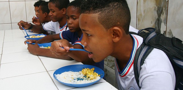 Tilápia cresce no Brasil e entra na merenda escolar